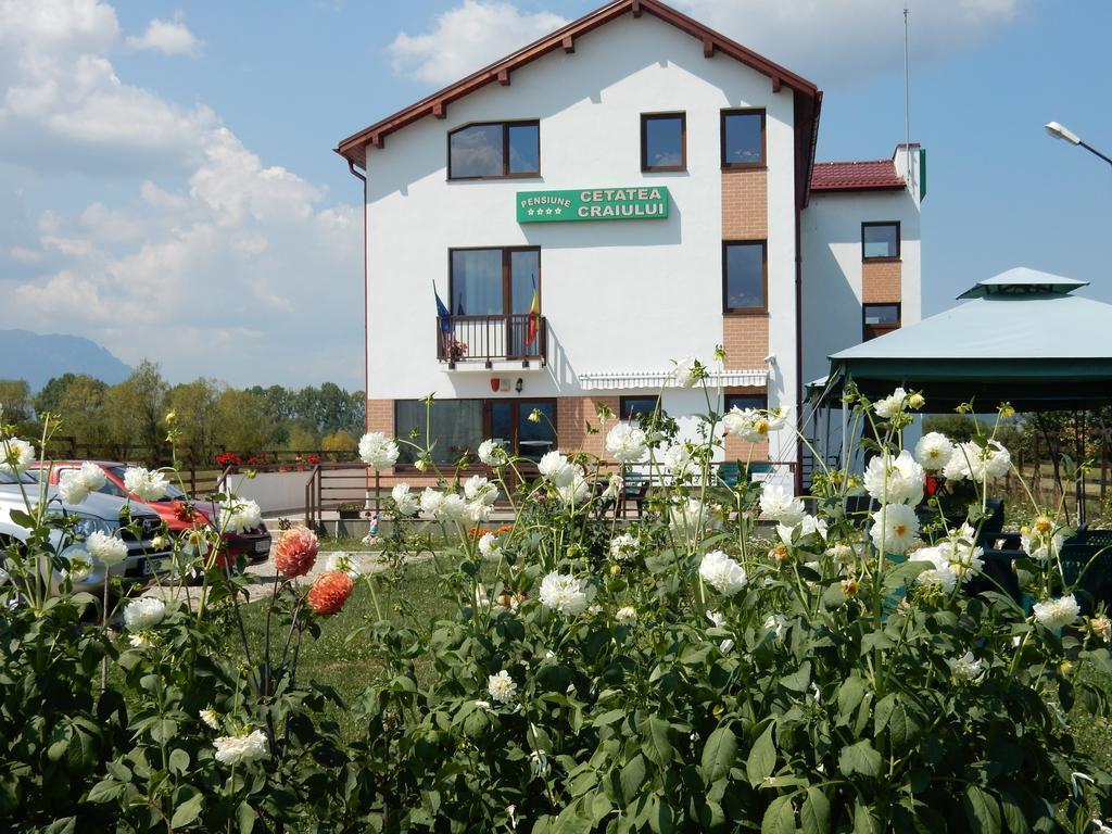 Pensiunea Cetatea Craiului Rîşnov Esterno foto