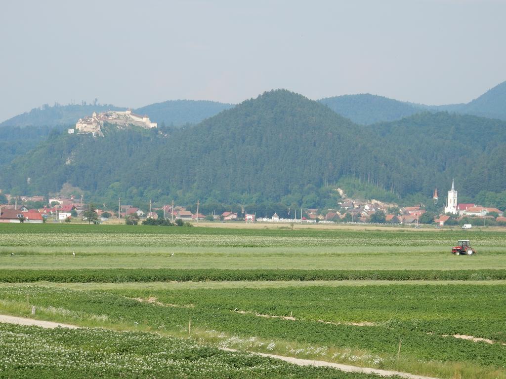 Pensiunea Cetatea Craiului Rîşnov Esterno foto