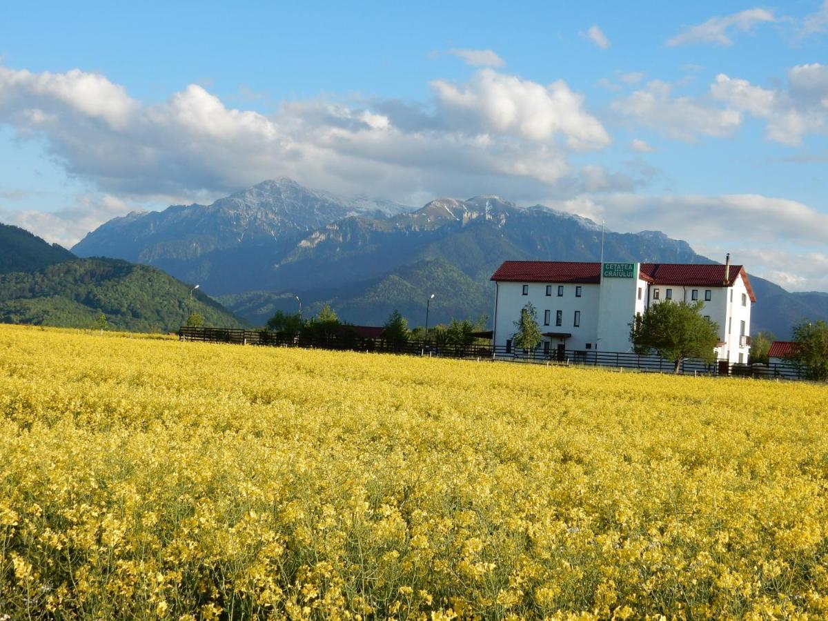 Pensiunea Cetatea Craiului Rîşnov Esterno foto